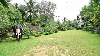 gal_053.jpg